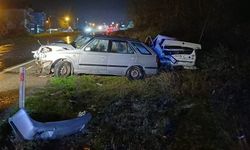 Alkollü sürücü dehşeti: 2 yaralı!