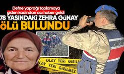 78 yaşındaki Zehra Günay ormanlık alanda ölü bulundu