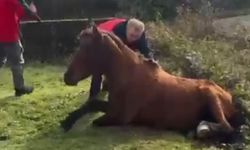 İtfaiye ekipleri tarafından kurtarıldı