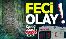 Orman işçisi kestiği ağacın altında kaldı!
