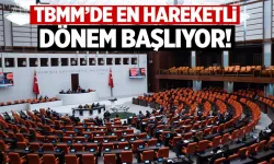 TBMM'de en hareketli dönem başlıyor