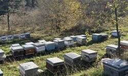 TKDK Zonguldak sahada: Ereğli’deki arıcılık işletmeleri mercek altında