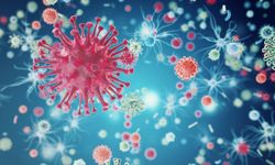 Mutasyona uğramış H3N2 virüsü Türkiye'de ilk kez görüldü!