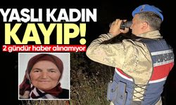 Yaşlı kadın ormanda aranıyor: 2 gündür haber alınamıyor!