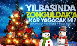 Yılbaşında Zonguldak'a kar yağacak mı?