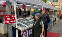 Zonguldak’ta hamsi göçü etiketleri değiştirdi: Rota Doğu’ya kaydı, fiyat Arttı