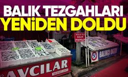 Zonguldak’ta balık tezgâhları yeniden doldu