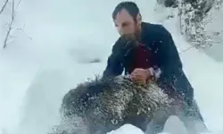 Karlı yolda karşılaştı, elleriyle yakaladı! 'Kimse buna özenmesin! Büyükleri insanı parçalayabilir'