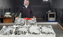 Zonguldak’ta balıkçılar yeni yerlerine taşındı