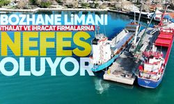 Bozhane Limanı, ithalat ve ihracat firmalarına nefes oluyor
