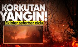 İlçede korkutan yangın: Ekipler seferber oldu!