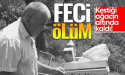 Kestiği ağacın altında can verdi!