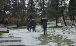 Kardeşlere DNA testi şoku: Sonuca inanamadılar!