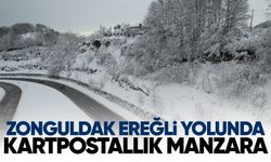 Zonguldak Ereğli yolunda kartpostallık manzara