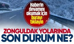 Zonguldak-Ereğli yolunda son durum ne? O araçlara geçiş izni yok...