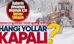 Zonguldak Valiliği yollardaki son durumu paylaştı