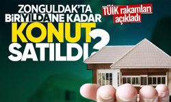Zonguldak'ta bir yılda ne kadar konut satıldı? TÜİK açıkladı...