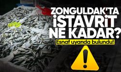 Zonguldak’ta İstavrit ne kadar? Esnaftan hamsi uyarısı!