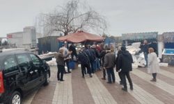 Kozlu'da hamsi 50 liraya düştü: Vatandaş akın etti