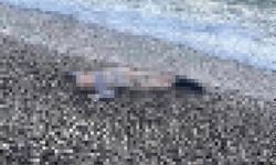 Acı olay! Deniz kıyısında çocuk cesedi bulundu