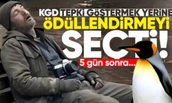 KGD 5 gün sonra uyandı: Tepki yerine ödül!