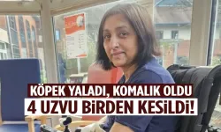 Köpeğin yaladığı kadının 4 uzvu kesildi!