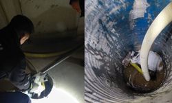 Rögar çukuruna düşen kedinin imdadına itfaiye ekipleri yetişti