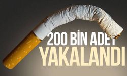 Zonguldak'ta 200 bin adet boş makaron yakalandı