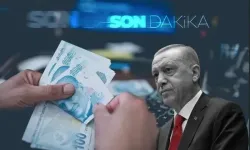 Asgari ücretli ve emekliye ara zam mı geliyor? Özgür Erdursun tek tek sıraladı