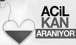 Acil AB rh pozitif kan aranıyor