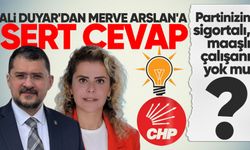 Ali Duyar'dan Merve Arslan'a sert cevap: "Partinizin sigortalı, maaşlı çalışanı yok mu?"