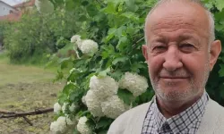 Ali Civak hayatını kaybetti