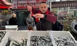 Zonguldak’ta Ramazan ayında hamsi bereketi yaşandı