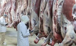 Et fiyatlarında manipülasyon soruşturması: 30 gözaltı