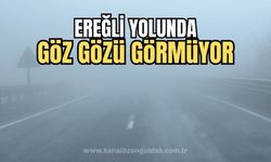 Zonguldak- Ereğli yolunda sis etkisini gösterdi