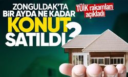 TÜİK açıkladı: Şubat ayında Zonguldak'ta kaç konut satıldı?