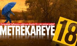 Zonguldak haftasonu yağmura doydu: İşte yağmurun en çok yağdığı bölge!