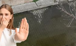 Zonguldak’ta okul bahçesi lağım gölüne döndü: Kimsenin umrunda değil!