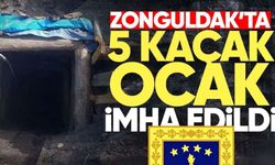 Zonguldak'ta 5 kaçak ocak imha edildi