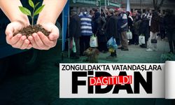 Zonguldak'ta vatandaşlara fidan dağıtıldı