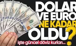 Dolar/TL bugün ne kadar? (23 Nisan 2026 Dolar - Euro fiyatları)