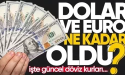 Dolar/TL bugün ne kadar? (20 Nisan 2026 Dolar - Euro fiyatları)