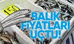 Sezon Sonu Yaklaşırken Balık Fiyatları Tırmandı