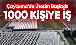 Çaycuma'da Üretim Başladı: 1000 Kişiye İş
