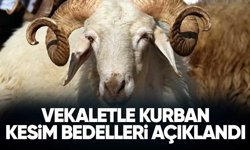 Diyanet, vekaletle kurban kesim bedelini açıkladı