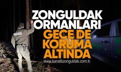 Zonguldak Ormanları Gece de Koruma Altında
