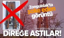 Zonguldak'ta şoke eden görüntü