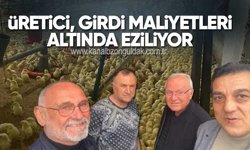 Üretici, Girdi Maliyetleri Altında Eziliyor