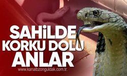 Kozlu Sahili'nde Motosiklete Girdi