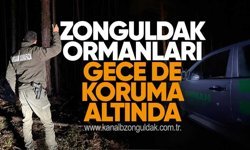 Zonguldak Ormanları Gece de Koruma Altında